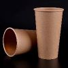 Eco Friendly Disposable Paper Cup