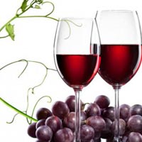 resveratrol extract