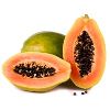 Papaya Extract in Indore