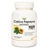 Carica Papaya Extract in Indore