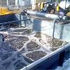 Effluent Treatment Chemical in Ahmedabad