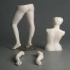Mannequins Body Parts in Meerut