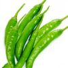 Green Chilli in Yavatmal