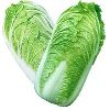 Chinese Cabbage in Pune
