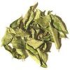 Dry Curry Leaves in Ahmedabad
