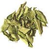 Dry Curry Leaves in Mumbai