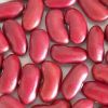 Red Kidney Bean in Pune