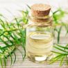 Niaouli Oil