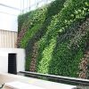 Artificial Green Wall in Surat