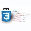 CSS Development Service