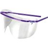 Disposable Safety Goggles