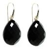 Onyx Earring in Anand