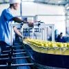 Food Processing Consultants