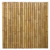 Bamboo Panel