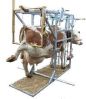 Hoof Trimmer