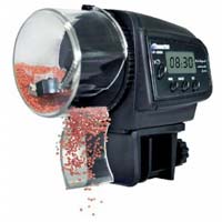 Automatic Fish Feeder