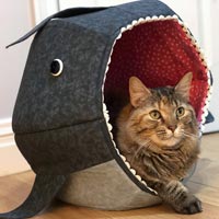 Cat Bed
