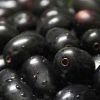 Jamun in Mumbai