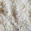 Sharbati Rice in Gandhidham