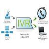 IVR services