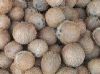 Dehusked Coconut in Coimbatore