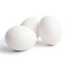 White Poultry Eggs in Delhi