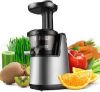 Cold Press Juicer