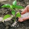 Soil Additives & Fertilizers
