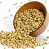 Organic Coriander Seeds