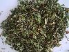 Dried Tulsi Leaves in Neemuch