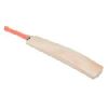 Wooden Cricket Bat