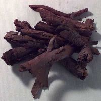 Alkanet Root at Best Price from Manufacturers, Suppliers & Traders
