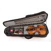 Violin Case