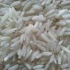 PR 11 Rice in Faridabad