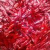 Teja Red Chilli in Haveri