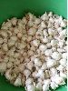 Organic Garlic in Nashik