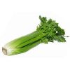 Organic Celery