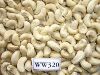 Cashew Nut W320 in Surat