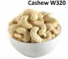 W320 Cashew Nuts in Delhi