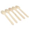 Disposable Wooden Spoon