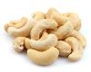 W210 Cashew Nut in Chennai