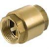 Brass Non Return Valve