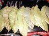 Soursop Leaves