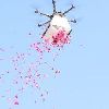 Flower Dropping Drone