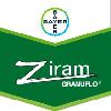 Ziram