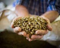 Animal Feed Enzymes
