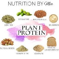 Plant Protein Latest Price from Manufacturers, Suppliers & Traders