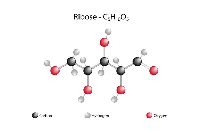 D Ribose Powder / D Ribose Supplement