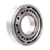 Single Row Cylindrical Roller Bearing in Delhi