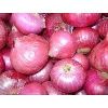 Pink Onion in Rajkot